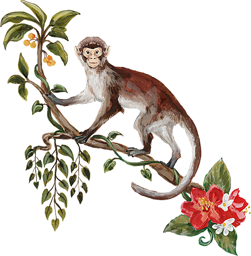 Monkey painting